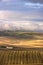 Between Apulia and Basilicata: rural autumn landscape. ITALY