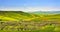 Apulia countryside view olive trees and rolling hills landscape. Poggiorsini, Italy