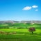 Apulia countryside view rolling hills landscape. Murge Poggiorsini, Italy