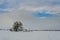 Apulian Christmas: trullo with tree in a snowy field.Italy,Apulia.