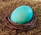 Aqua blue dyed Easter egg in nest