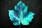 An aqua blue maple leaf on a black background