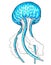 Aqua color jellyfish with wavy tentacles.