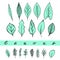 Aqua leaves set