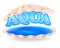 Aqua sign in the shell