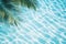 Aqua waves and coconut palm shadow on blue background. Water pool texture top view In the summer