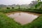 Aquaculture Natural Fish ponds