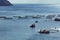 Aquaculture settlement, fish farm with floating circle cages around bay of Attica in Greece