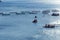 Aquaculture settlement, fish farm with floating circle cages around bay of Attica in Greece