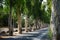 Aquaduct along the eucalyptus alley in the village of Kolympia. Rhodes, Greece