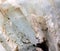 Aquamarine stone closeup photograph