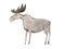 Aquarelle illustration of smiling moose or elk on white background