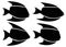 Aquarium angelfish fish logo set