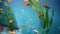 Aquarium background calm fish swim grass blue