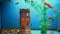 Aquarium background fish blue calm swim grass