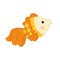 Aquarium cartoon cute gold fish. vector illustration of yellow fish for children