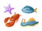 Aquarium cartoon lobster, bright sea slug, starfish, fish