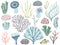 Aquarium corals and seaweed. Marine ocean coral flora, decor underwater seaweeds and different water plants cartoon