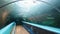 Aquarium Corridor @ Sea Life Sydney Aquarium