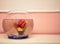 Aquarium with a cute goldfish in a girls room near pink wall, retro modern interior house pet