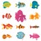 Aquarium fish. Different breeds color decorative fishes, home hobby, water pets, tropical aquatic mini underwater