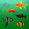 Aquarium Fish in polygon vector style