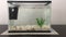 Aquarium fish tank full of wate