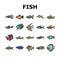 Aquarium Fish Tropical Animal Icons Set Vector