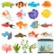 Aquarium flora and fauna color flat icons set