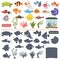 Aquarium flora and fauna color flat and simple icons set