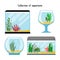 Aquarium forms vector illustration. Decoration home empty glass tanks isolated