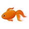 Aquarium gold fish icon, cartoon style