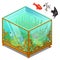 Aquarium with Golden patterns and exotic fish