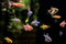 Aquarium with many colored fish