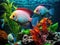 Aquarium - tropical discus fish