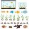 Aquarium underwater vector elements isolated on white background. Aquaristics cartoon set with aquarium fishes stones seaweeds sea