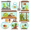 Aquariums icons set with tropical fishes and plants vector equipment design