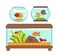 Aquariums set with flora and fauna in glass container filled with water.