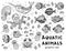 Aquatic animals vector graphic set