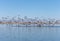 Aquatic birds take flight, Havasu National Wildlife Refuge