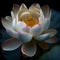 Aquatic elegance meditates in tranquil lotus pond generated by AI