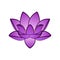 Aquatic flower - Violet Lotus