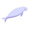 Aquatic mammal icon isometric vector. Sea manatee