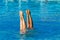 Aquatic Synchronised Swimmers Underwater