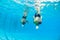 Aquatic Synchronized Girls Pairs Underwater