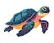 Aquatic turtle swimming in multi colored