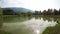 Aquatic turtle swimming in a pond in the park