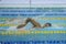 Aquece Rio - Swimming Open Championship Paralimpica