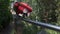 Ara chloropterus red and green macaw resting on a perch in zoo park