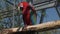 Ara chloropterus red and green macaw resting on a perch in zoo park